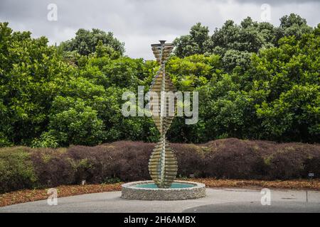 Auckland Botanic Gardens, in Manurewa Stockfoto