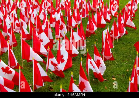 Kanadische Flaggen werden vor dem Gedenktag am 11. November in Ontario, Kanada, ausgestellt. Stockfoto