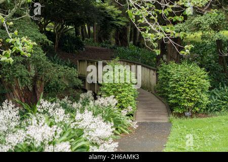 Auckland Botanic Gardens, in Manurewa Stockfoto