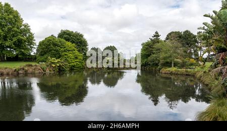 Auckland Botanic Gardens, in Manurewa Stockfoto