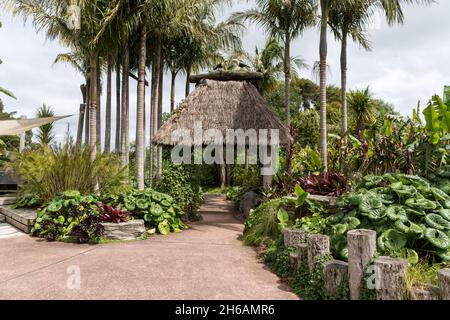 Auckland Botanic Gardens, in Manurewa Stockfoto