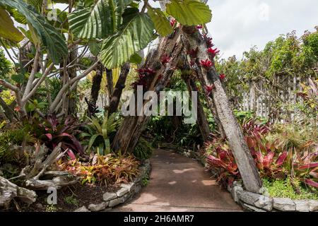 Auckland Botanic Gardens, in Manurewa Stockfoto