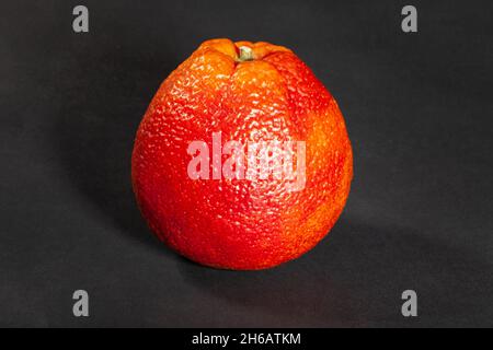 Blutorange auf schwarzem Hintergrund Stockfoto