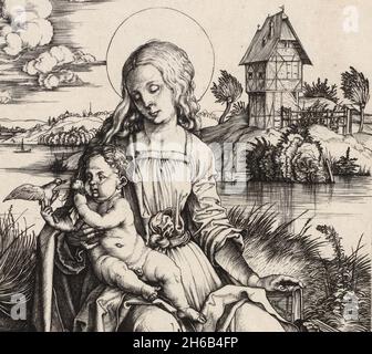 Die Jungfrau und das Kind mit dem Affen, c. 1498. Detail aus einem größeren Kunstwerk. Stockfoto