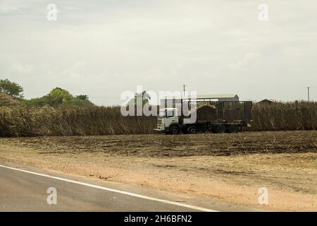 Von Mackay nach Townsville Bruce Highway, Queensland, Australien - November 2021: Ein LKW, der geerntetes Zuckerrohr zur Raffinerie transportiert Stockfoto