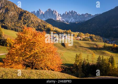 Luftaufnahme der Kirche von Santa Maddalena. Santa Magdalena Val di Funes, Villental, Bozen, Südtirol, Trentino-Südtirol, Italien. Stockfoto