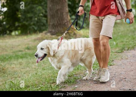 Low-Section-Porträt eines nicht erkennbaren Mannes, der im Sommer im Park Hund läuft, Kopierraum Stockfoto