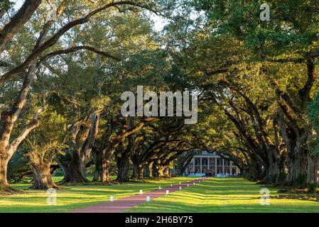 Berühmte Oak Alley Plantation in Louisiana, USA Stockfoto