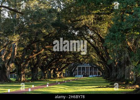 Berühmte Oak Alley Plantation in Louisiana, USA Stockfoto