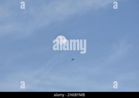 Soppeng, Süd-Sulawesi, Indonesien. September 2021. Der Vollmond steigt am frühen Morgen über der Stadt Soppeng auf. (Bild: © Moch Farabi Wardana/Pacific Press via ZUMA Press Wire) Stockfoto