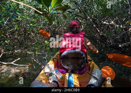 Kanufahren durch den Sumpfgebiet der Everglades in Florida, USA Stockfoto