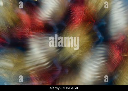 Bunte Abstraktion von Burst Color Fusion, metallische Farben literarische Springen aus dem Betrachter. Unschärfe von Dekoration, Linien, Mustern, Texturen. Form Stockfoto