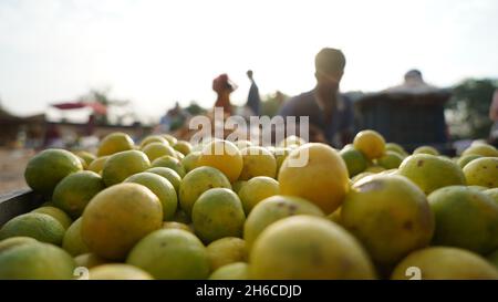 Hochauflösendes Bild: Frische Zitronen auf einem lebhaften Gemüsemarkt Stockfoto