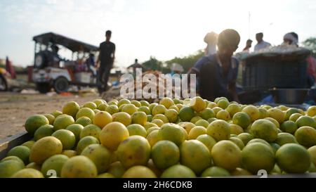 Hochauflösendes Bild: Frische Zitronen auf einem lebhaften Gemüsemarkt Stockfoto