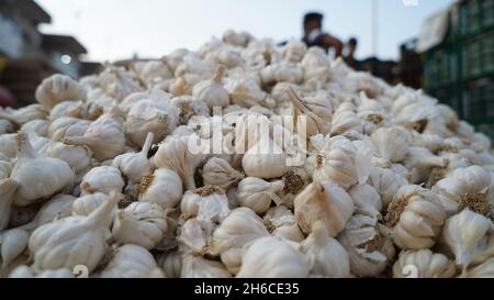 Voller Knoblauch mit festen weißen Zwiebeln und leuchtend grünen Landschaften, die ihre natürliche Textur und Frische betonen Stockfoto