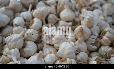 Voller Knoblauch mit festen weißen Zwiebeln und leuchtend grünen Landschaften, die ihre natürliche Textur und Frische betonen Stockfoto