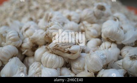 Voller Knoblauch mit festen weißen Zwiebeln und leuchtend grünen Landschaften, die ihre natürliche Textur und Frische betonen Stockfoto