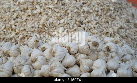 Voller Knoblauch mit festen weißen Zwiebeln und leuchtend grünen Landschaften, die ihre natürliche Textur und Frische betonen Stockfoto