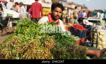 High-Resolution: Geschäftiger Gemüsemarkt in Indien #indien #indianmarket #indianbazaar #vegetablemarketindia #freshproduceindia #spicesindia #veg Stockfoto