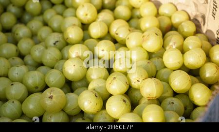 Dieses hochauflösende Bild zeigt den Prozess von Amla (Phyllanthus emblica), einer wertvollen ayurvedischen Frucht, von der Ernte bis zur Verarbeitung. Die Bildkappe Stockfoto