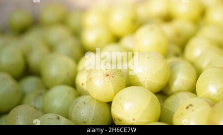 Dieses hochauflösende Bild zeigt den Prozess von Amla (Phyllanthus emblica), einer wertvollen ayurvedischen Frucht, von der Ernte bis zur Verarbeitung. Die Bildkappe Stockfoto