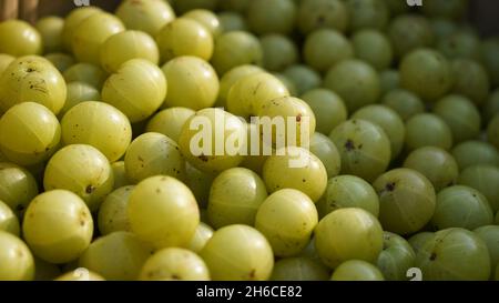 Dieses hochauflösende Bild zeigt den Prozess von Amla (Phyllanthus emblica), einer wertvollen ayurvedischen Frucht, von der Ernte bis zur Verarbeitung. Die Bildkappe Stockfoto