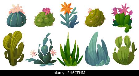 Niedliche Kakteen, Sukkulenten und Wüstenpflanzen mit Blumen isoliert auf weißem Hintergrund. Vektor-Cartoon-Set von grünen stacheligen Kakteen mit Blüten und Stacheln. Ikonen von Zimmerpflanzen und Garten cactaceae Stock Vektor