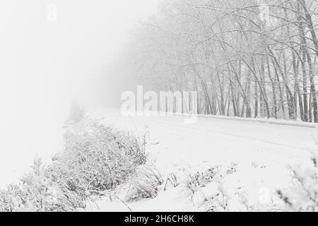 Winterlicher Schneefall auf der Straße. Eine leere Landstraße ohne Autos, bedeckt mit Schneeverwehungen. Reisen Sie bei schlechtem Wetter. Winter wolkige Landschaft mit einer Landstraße. T Stockfoto