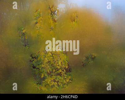 Handmarkierung auf Herbstlandschaft hinter aufgedampftem Glas, das als Hintergrund verwendet werden kann. Stockfoto