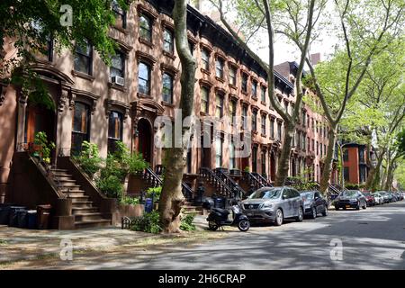 Brownstones entlang der S Portland Ave, Brooklyn, NY im Viertel Fort Greene. Stockfoto