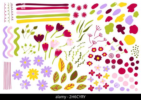 Handgezeichnetes Frühlings-Blumenset. Streifen Blätter, Linien, Zweige Elemente. Bud Dot, Punktsticker. Stilisierte Pfingstrose, Rose, Gänseblümchen, Tulpe. Sommerabstrakt Stock Vektor