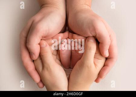 Beine, Zehen, Füße und Fersen eines Neugeborenen. Mit den Händen der Eltern, Vater, Mutter hält sanft die Beine des Kindes. Makrofotografie, Nahaufnahme. Stockfoto