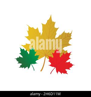 Herbstlaub. Set von Vektor-Ahornblättern in verschiedenen Farben und Größen. Vektorgrafik flach. Stock Vektor