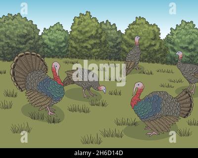 Türkei Bauernhof Vogel Hof Grafik Farbe Landschaft Skizze Illustration Vektor Stock Vektor