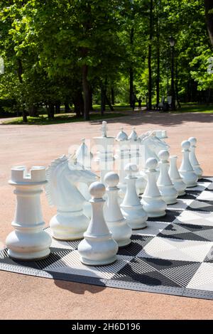 Riesige Schachfiguren zum Spielen im Park, vertikale Fotografie. Weiße Schachfiguren auf einem karierten Feld Stockfoto