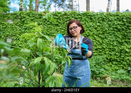 Frau in Handschuhen mit Gartenscheren, die den Frühjahrsschnitt von trockenen Zweigen auf dem Pfirsichbaum macht Stockfoto