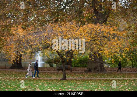 Ein maskiertes Paar geht am 5. November 2021 an einem herbstlichen Baum im St James’s Park im Zentrum von London vorbei. Da der Schnee und die kalten Temperaturen die treffen könnten Stockfoto