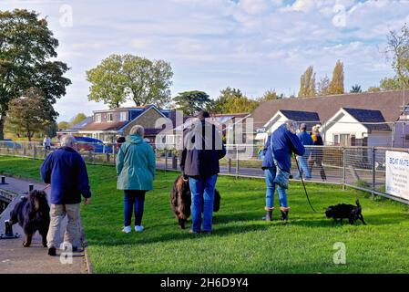 Eine gemischte Gruppe von Menschen, die an einem Herbsttag in Surrey England, England, mit ihren Haustieren an der Themse in Shepperton spazieren Stockfoto