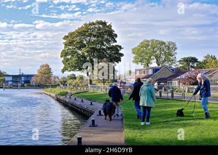 Eine gemischte Gruppe von Menschen, die an einem Herbsttag in Surrey England, England, mit ihren Haustieren an der Themse in Shepperton spazieren Stockfoto