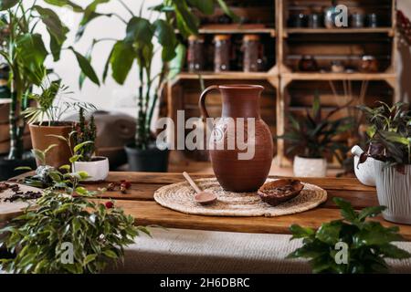 Krug mit heißem Bio-Kakao für die Zeremonie, Nahaufnahme. Gesundes Getränk aus rohen Kakaobohnen im grünen vegetarischen Café Copy space, Ritual für Harmonie in grün Stockfoto