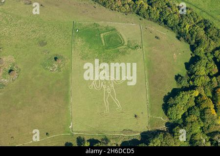 Die Figur des Riesenkalkhügels von Cerne Abbas und die Erdarbeiten des Trendle-Gehäuses auf dem Riesenhügel, Cerne Abbas, Dorset, 2015. Stockfoto