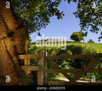 Restormel Castle, Lostwithiel, Cornwall, 2018. Allgemeiner Blick nach Norden auf die Burgmauer, mit einem Holztor und einer Eiche im Vordergrund, 2018. Stockfoto