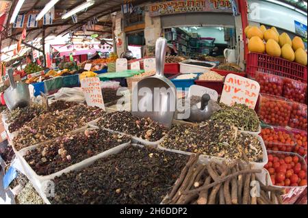 Lakritze, Lakritze, Lakritze, Süßholz, Süßholz, Süßholz, echte Lakritze (Glycyrrhiza glabra, Liquiritia officinalis), Stockfoto