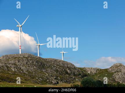 Panoramablick auf Windpark oder Windpark, mit Hochwindturbinen zur Stromerzeugung mit Kopierfläche. Konzept der grünen Energie. Stockfoto