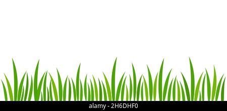 Grünes Gras Hintergrund. Rand mit Frühlingsgras. Vektorgrafik. Stock Vektor