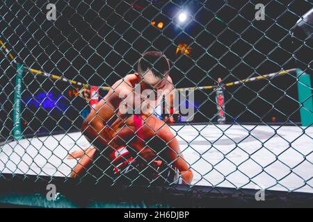 Zwei starke muskulöse professionelle MMA-Kämpfer kämpfen, sie sind im Clinch, ringen im Parterre auf dem Achteck-Boden. Stockfoto