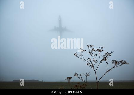 Das Flugzeug nähert sich während eines düsteren Herbsttages der Landung an. Silhouette des Flugzeugs im dichten Nebel und selektiver Fokus auf die Pflanze. Stockfoto