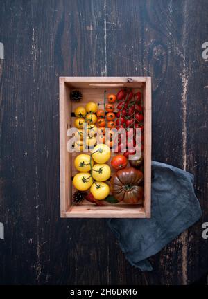 Holzkiste mit einer bunten Auswahl an Tomaten, verschiedenen Sorten wie Borange, monterosa und Heriloom Stockfoto