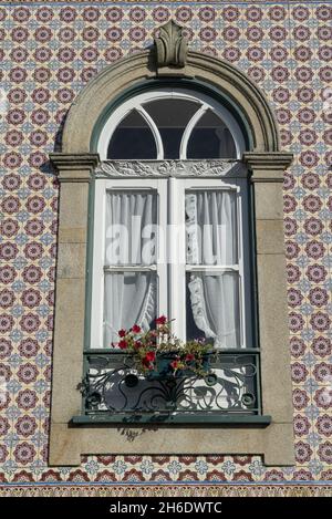 Vertikale Aufnahme des Fensters und ? Rote Blumen Topf vor der Mosaikfliesen Wand Stockfoto