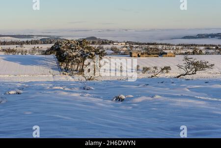 Morgensonne auf Feldern, Bäumen, Hecken, Zäunen und einem Farmgebäude, alles unter Schnee mit Tyne Valley in der Mitte gefüllt mit Nebel. Stockfoto